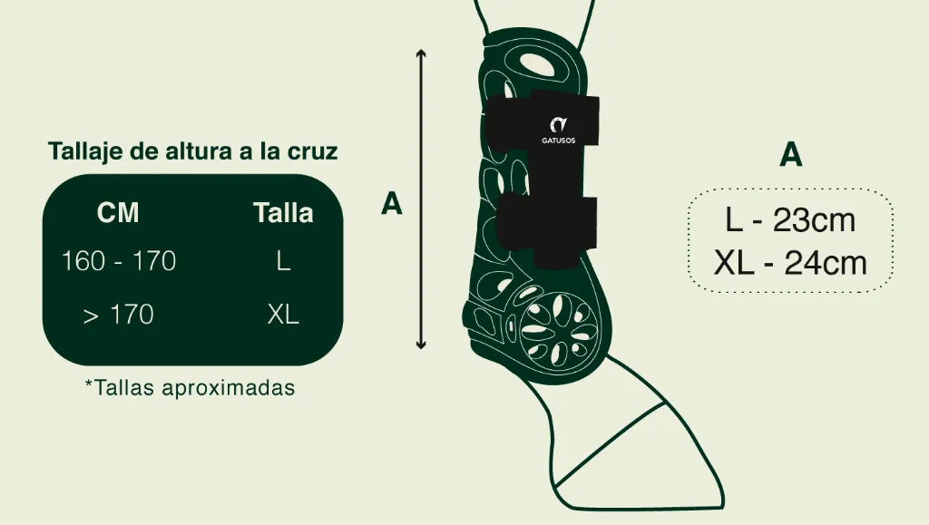 GUIA-DE-TALLAS-AIR-1.webp