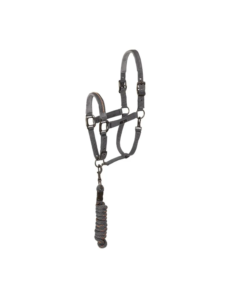 ankyR-halter-and-lead-stones-ath23001.webp