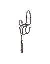 ankyR-halter-and-lead-stones-ath23001.webp