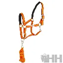 ref_06865f.webp