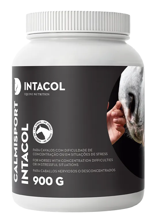Calmisport Intacol.003013 (900g)