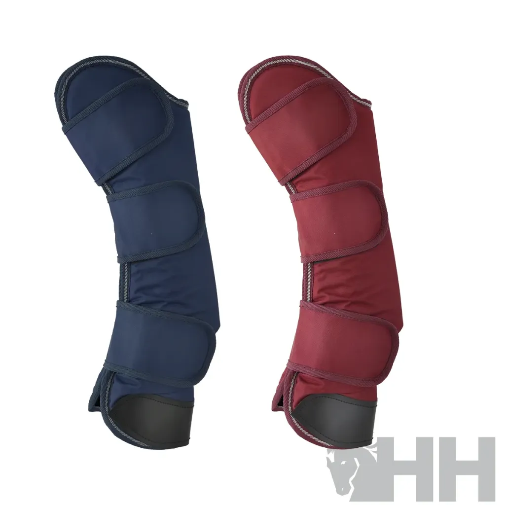 Protector transporte (juego 4) Lexhis.06418
