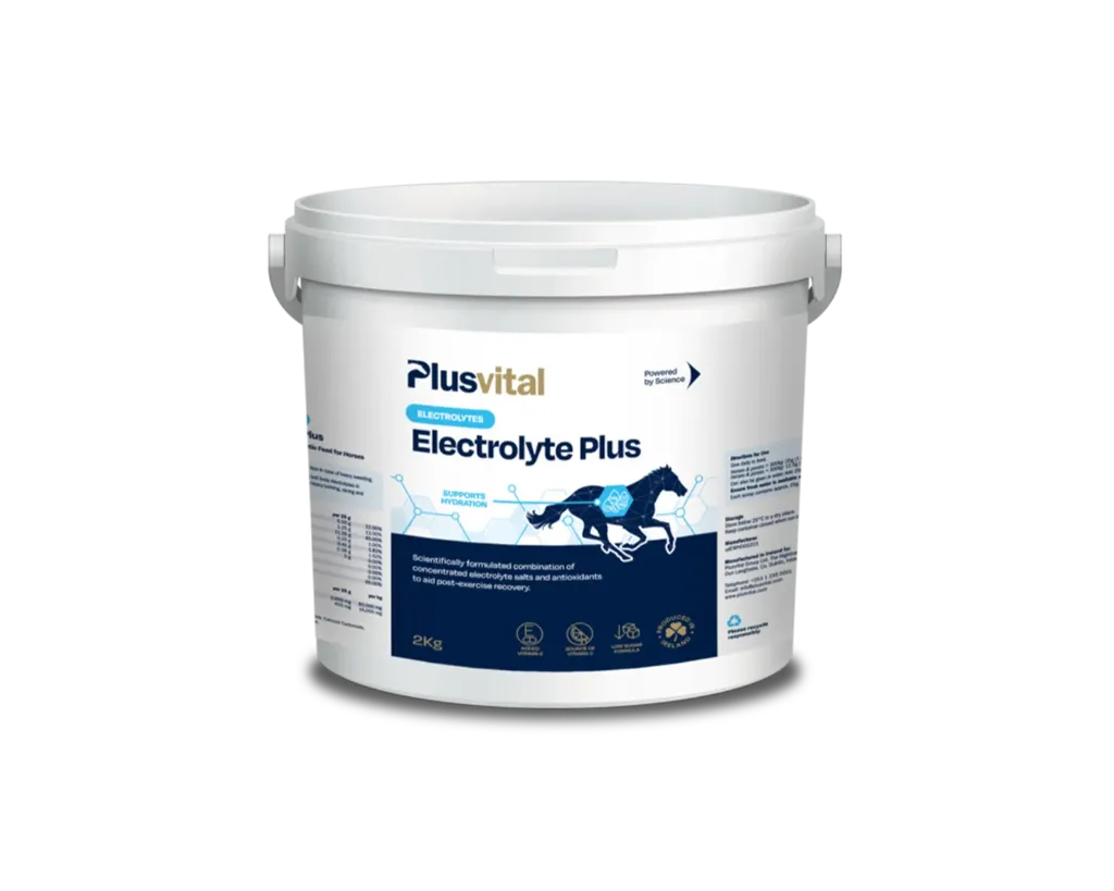 Electrolyte Plus Plusvital.402 (2kg)