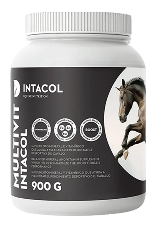 Multivit Intacol.003015