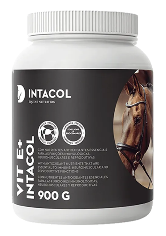 VITA E+ Intacol.003012