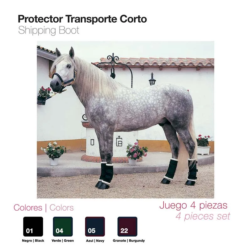 Protector Transporte  Juego 4 Corto Z.2107706