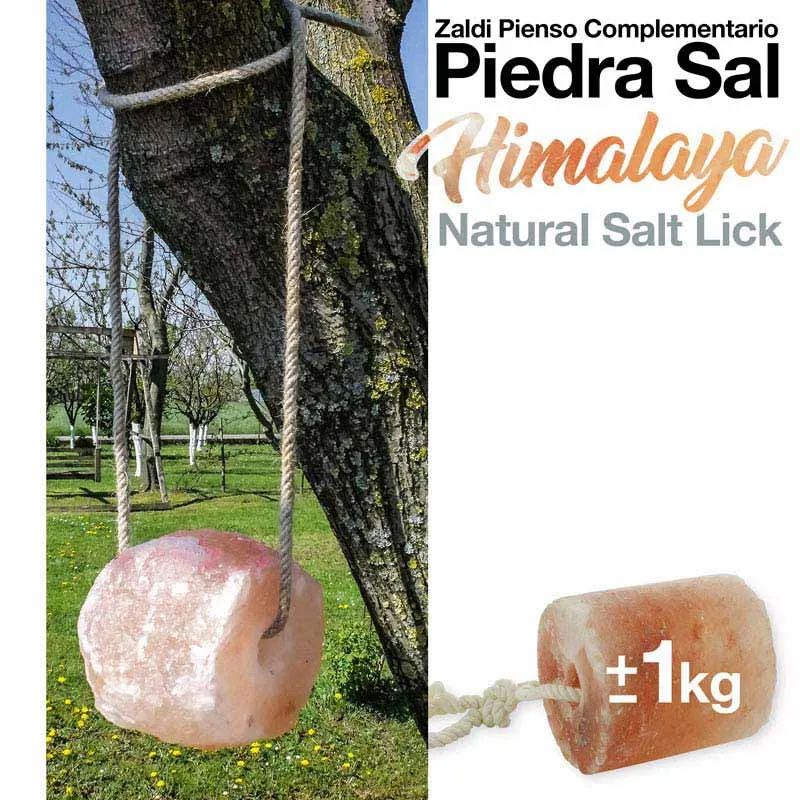 Piedra de Sal 1kg Z.21141130150