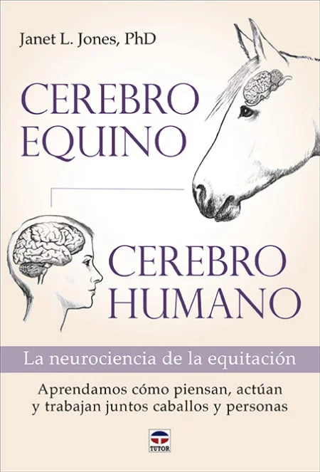 [ET- 500684] L. Cerebro Equino Cerebro Humano